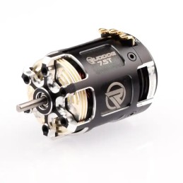 Moteur RUDDOG RACING 5.5T