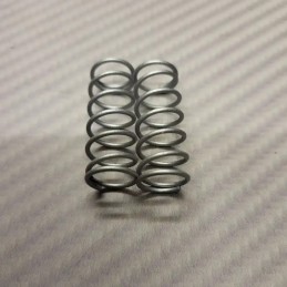 Paire de ressorts latéraux Argent 12 LB pour PRO10