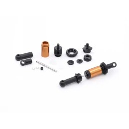 Kit 2 amortisseurs latéraux - ROCHE P10W EVO