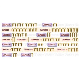 Kit Complet de Vis Acier Nitride Doré pour X-RAY XP10 2026 (86pcs)