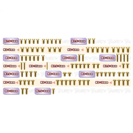 Kit Complet de Vis Acier Nitride Doré pour X-RAY XP10 2026 (86pcs)